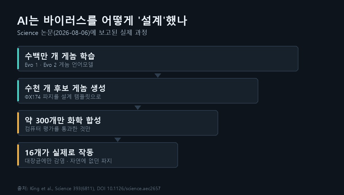 AI 박테리오파지 설계 과정 도해