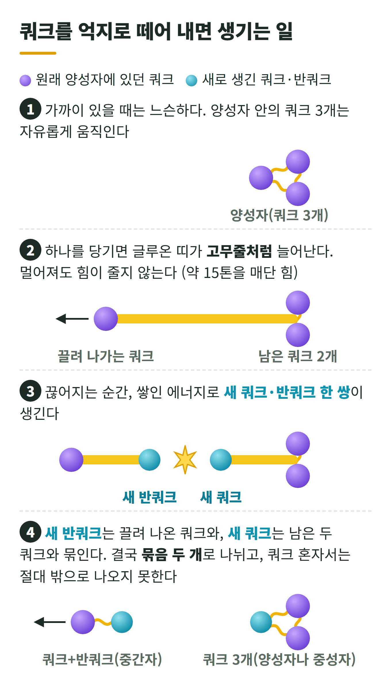 쿼크를 억지로 떼어 내면 생기는 일 4단계: 양성자 안의 쿼크 3개는 가까우면 느슨하고, 하나를 당기면 글루온 띠가 고무줄처럼 늘어나며, 끊어지는 순간 새 쿼크·반쿼크 쌍이 생긴다. 새 반쿼크는 끌려 나온 쿼크와 묶여 중간자가 되고, 새 쿼크는 남은 두 쿼크와 묶여 양성자나 중성자가 된다