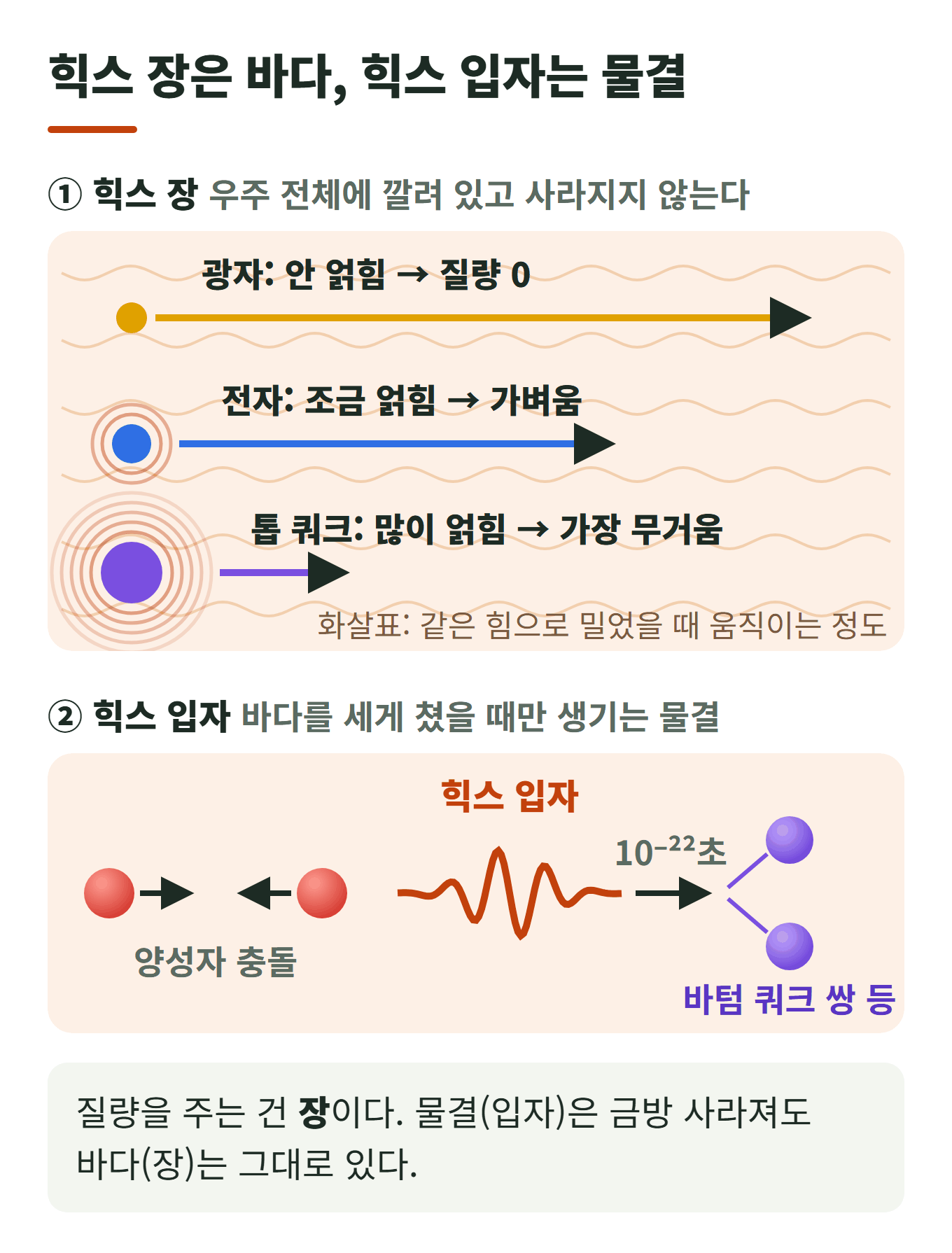 힉스 장은 바다, 힉스 입자는 물결: 광자는 힉스 장과 얽히지 않아 질량 0, 전자는 조금 얽혀 가볍고, 톱 쿼크는 많이 얽혀 가장 무겁다. 양성자 충돌로 바다를 세게 치면 힉스 입자가 생겼다가 10⁻²²초 만에 쪼개진다
