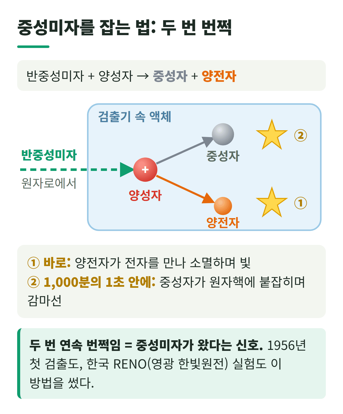 중성미자 검출 원리: 반중성미자가 검출기 속 양성자에 부딪히면 중성자와 양전자가 생기고, 양전자 소멸로 한 번, 1,000분의 1초 안에 중성자 포획으로 한 번 더 번쩍인다