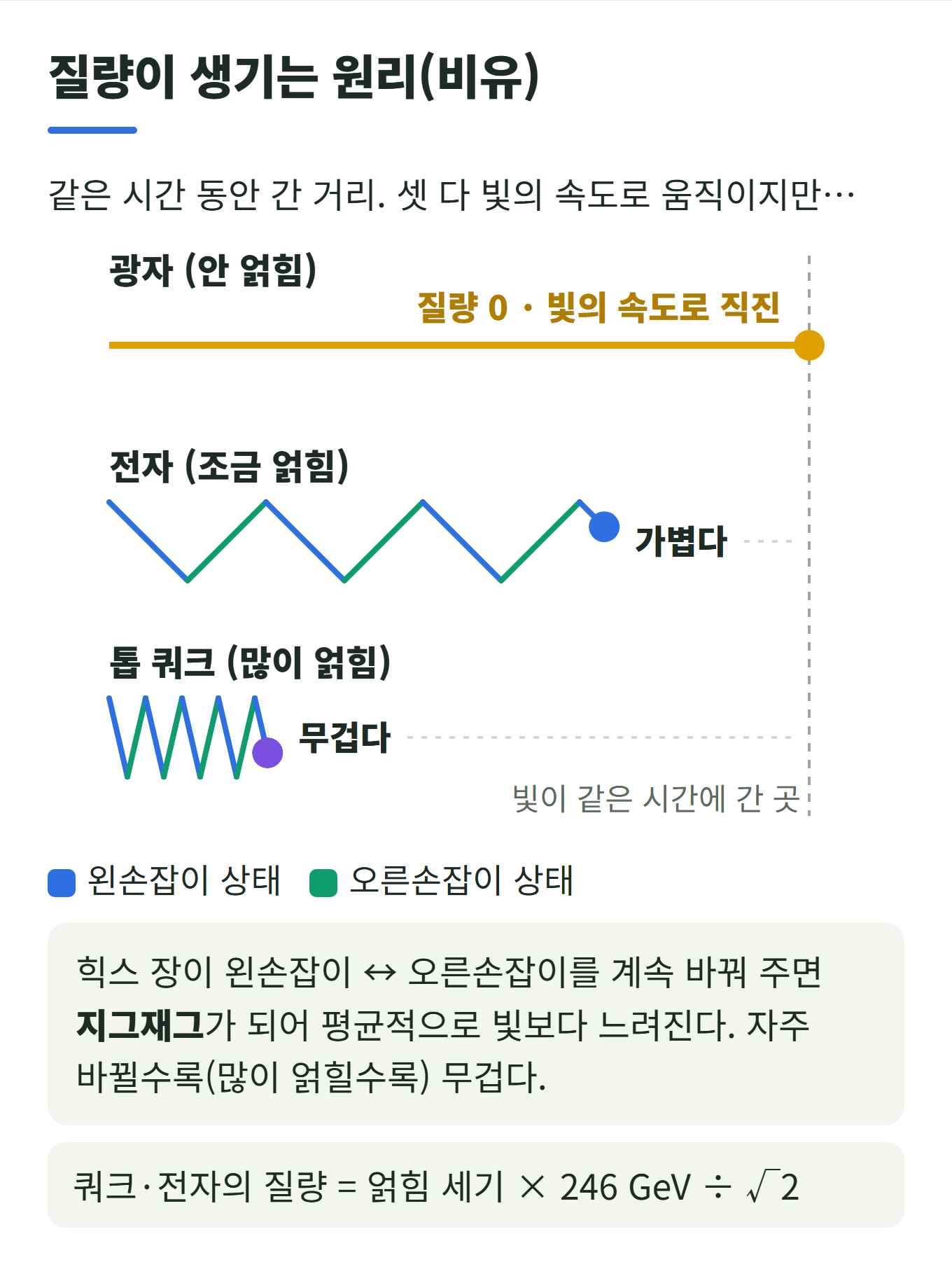 질량이 생기는 원리 비유: 같은 시간 동안 광자는 빛의 속도로 직진하고, 전자는 왼손잡이와 오른손잡이로 가끔 바뀌며 지그재그로 덜 나아가고, 톱 쿼크는 자주 바뀌어 가장 덜 나아간다